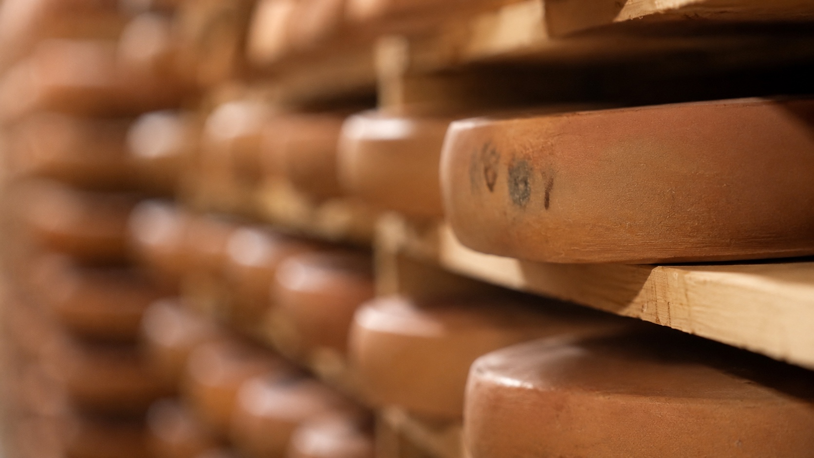 Forme di Comté in affinamento nelle cave Marcel Petite