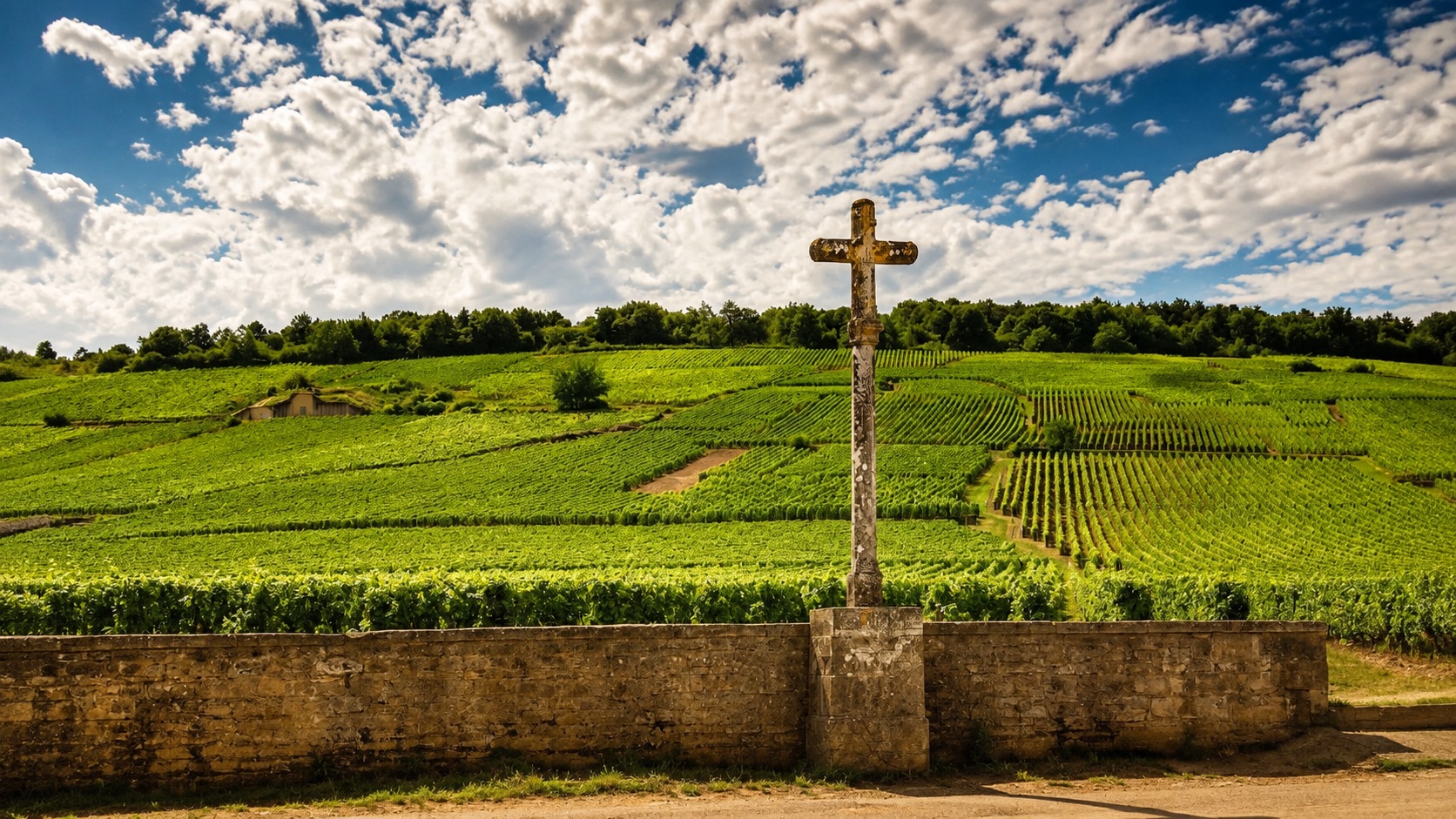 Vigneti storici della Borgogna