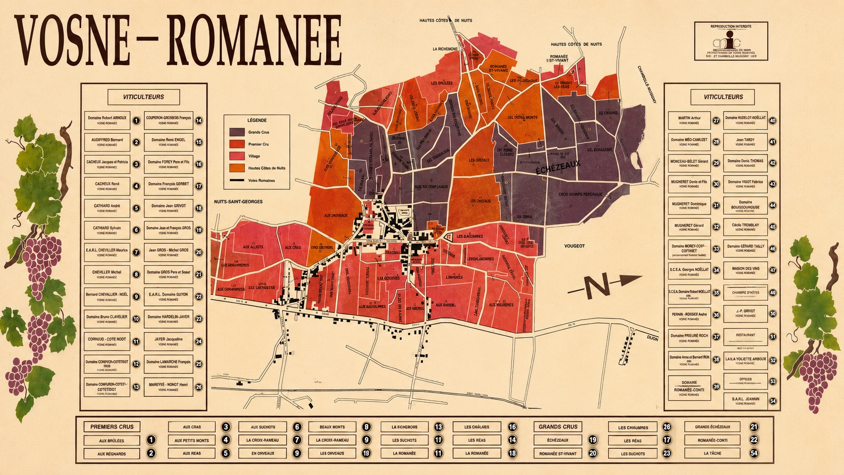 Terra e filari del vigneto Romanée-Conti