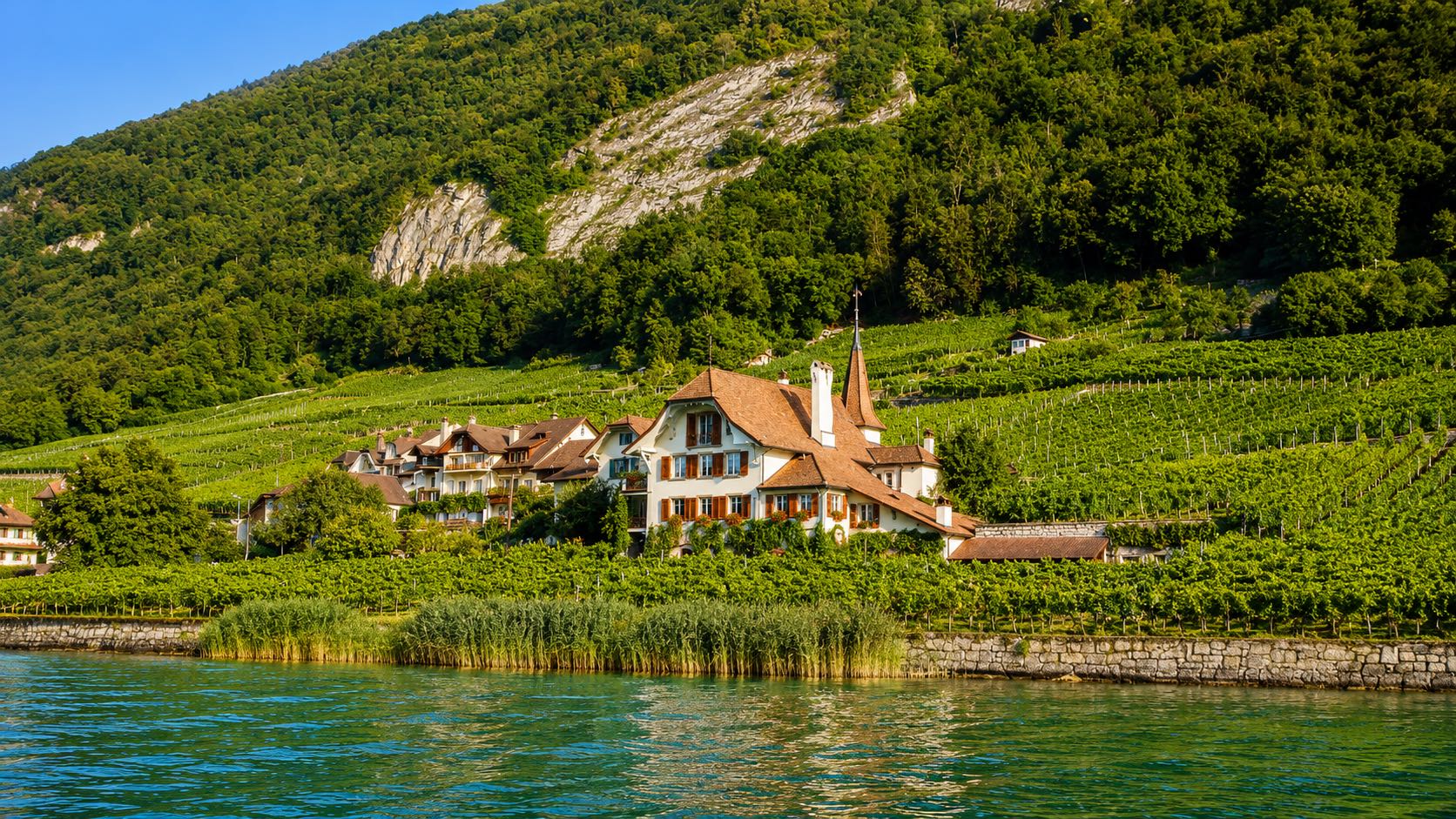 Weingut Schlössli a Schafis sul Lago di Bienne